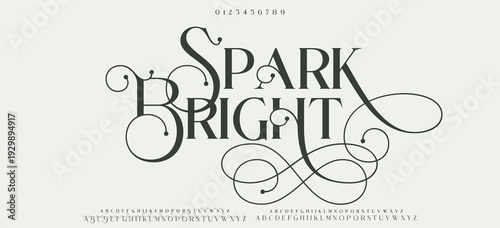 SPARK BRIGHT. Luxury wedding alphabet letters font and number. Typography elegant classic lettering serif fonts decorative vintage retro with tails concept. vector illustration