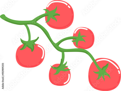 Tomato Branch Harvest Cartoon