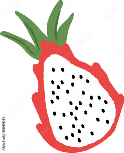 Pitaya Slice Hand Drawn