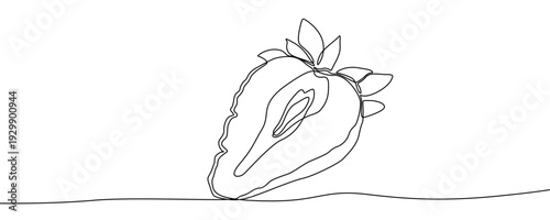 Strawberry half in one line art style. Minimalist drawing of a sliced berry, made by a continuous line with editable black stroke on a white background. Vector illustration.