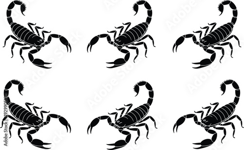Six black and white scorpion in various poses on a white background insect arachnid