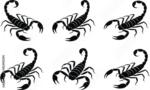 Six black scorpion with different poses on a white background