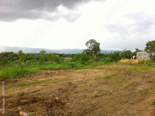 construccion de casa en la selva