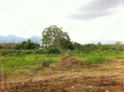 construccion de casa en la selva