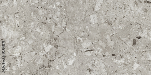 Terazzo gray polished marble texture
