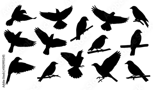 set of silhouettes of birds