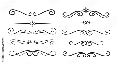 vintage hand-drawn calligraphic dividers and ornate scroll elements on white ideal for elegant graphic design and decorative projects