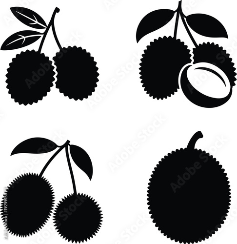 Cocoa pod and olive fruit silhouette set, black vector illustration of organic coffee bean branch isolated on white background