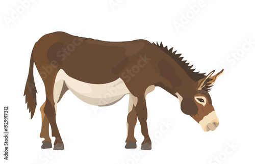 Cute cartoon Donkey illustration. Vector hand drawn farm animal isolated on white background.