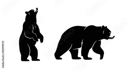 Two black bear silhouettes one standing upright with mouth open and head tilted back the other walking on all fours