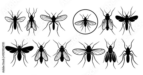 A detailed illustration of various insects, including flies and mosquitoes, in different stages of life.