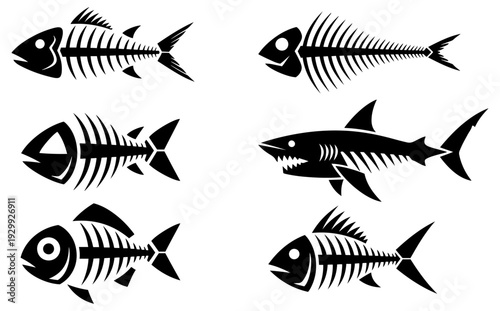 Six different types of fish skeletons illustrated in black and white
