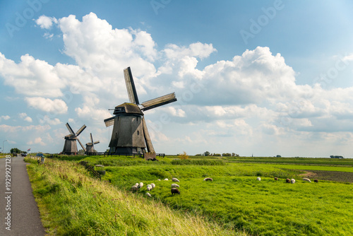 Europe, Netherlands, Shermerhorn.  Old vintage Dutch windmills preside over the rural landscape.