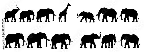 A diverse group of elephants and other animals walking in a line