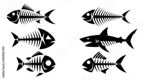 Six black and white illustrations of fish skeletons in symmetrical pairs