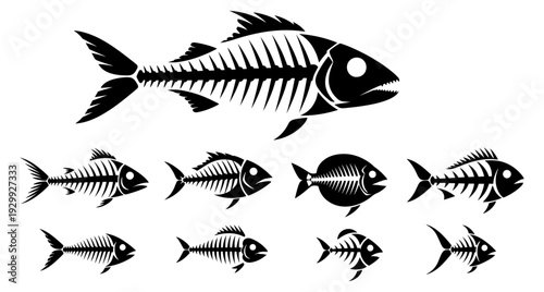 A variety of fish skeletons and silhouettes showcasing different shapes and sizes