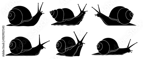 Eight black and white snails crawling in different directions across a white background