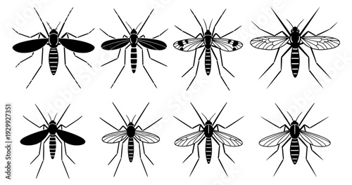 A collection of various mosquito species illustrated in black and white.