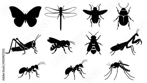 A diverse collection of insects showcasing various species and their unique silhouettes