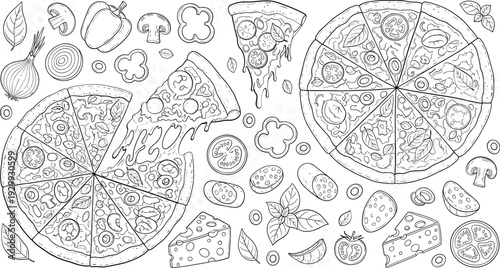 Delicious pizza illustrations with fresh ingredients