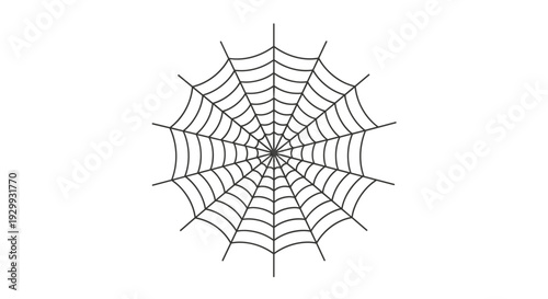 Intricate circular spiderweb design symmetrical radial lines forming a delicate detailed trap isolated on a clean white