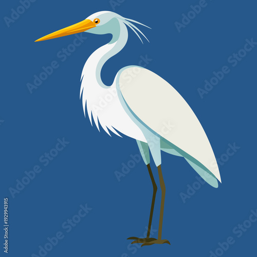 Une grande aigrette blanche dans les marécages du delta du Danube