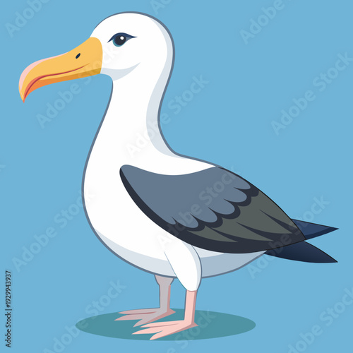 Albatros de Buller du Sud, océan Pacifique, Australie