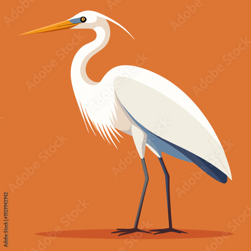 Une grande aigrette blanche dans les marécages du delta du Danube