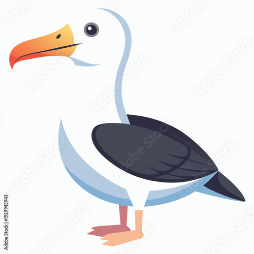 Albatros de Buller du Sud, océan Pacifique, Australie