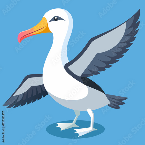 Albatros de Buller du Sud, océan Pacifique, Australie