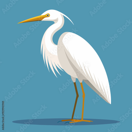 Une grande aigrette blanche dans les marécages du delta du Danube