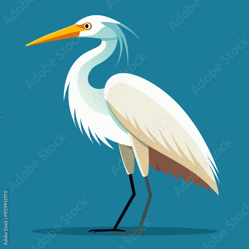 Une grande aigrette blanche dans les marécages du delta du Danube