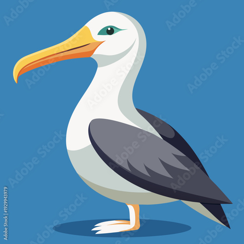 Albatros de Buller du Sud, océan Pacifique, Australie