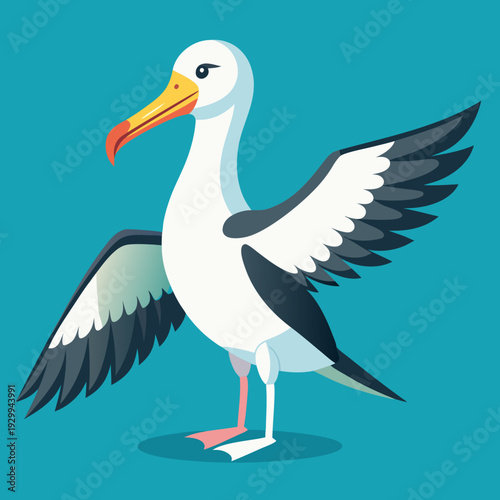 Albatros de Buller du Sud, océan Pacifique, Australie