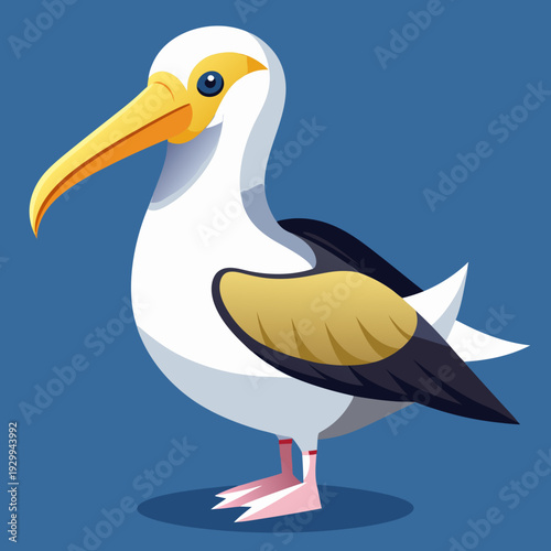 Albatros de Buller du Sud, océan Pacifique, Australie