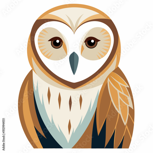 Effraie des clochers au crépuscule chasse pour une proie