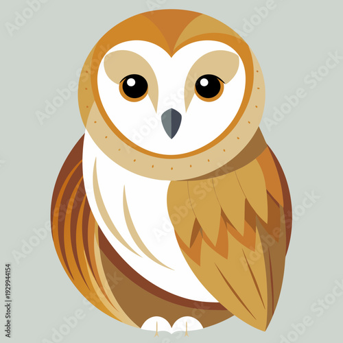 Effraie des clochers au crépuscule chasse pour une proie