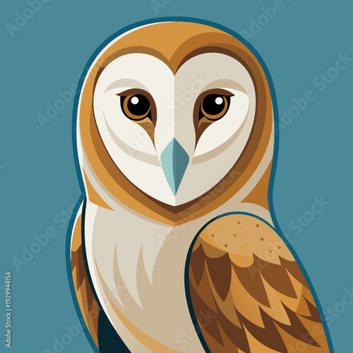 Effraie des clochers au crépuscule chasse pour une proie