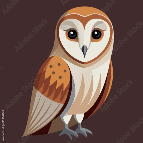 Effraie des clochers au crépuscule chasse pour une proie