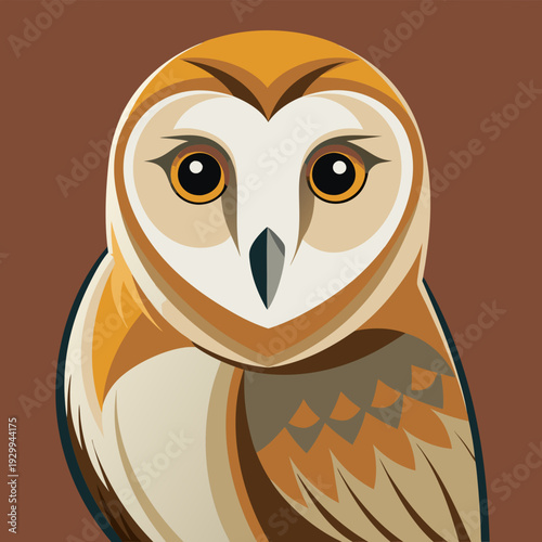 Effraie des clochers au crépuscule chasse pour une proie