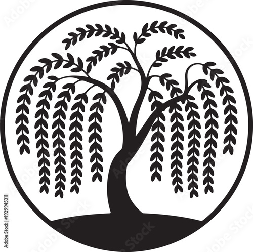 weeping willow tree in circular frame silhouette design vector illustration