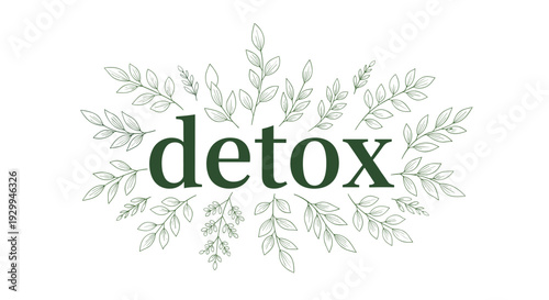 The word detox is centrally placed on a white background, encircled by a symmetrical radiating wreath of thin, outlined green leafy branches.