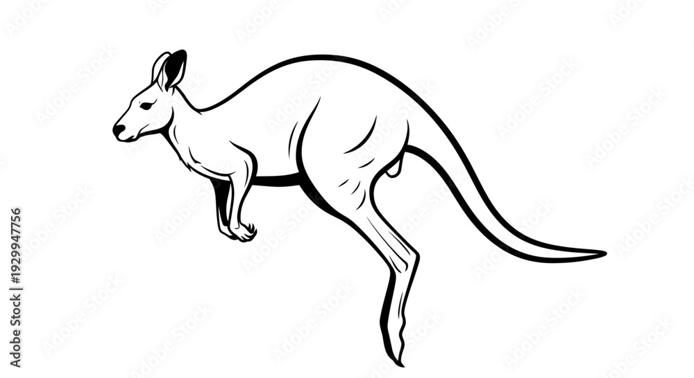Obraz premium Simple black and white line drawing of a jumping kangaroo.