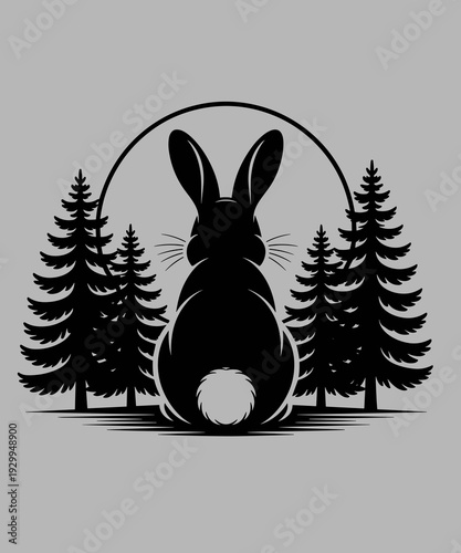 Cute Rabbit Animal Full Moon At Night - Funny Pet Bunny