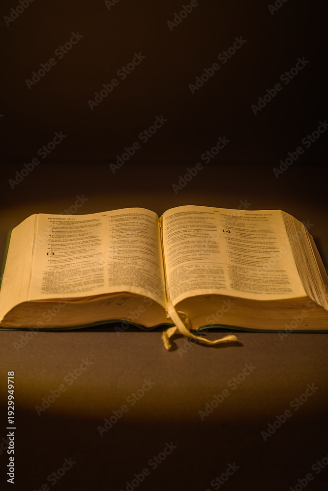 Fototapeta premium Open Bible in warm light with copy space