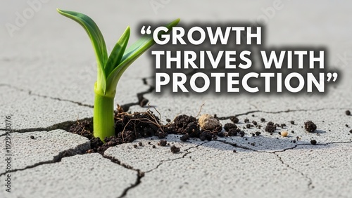 Wallpaper Mural Young plant sprouting through cracked concrete pavement Torontodigital.ca