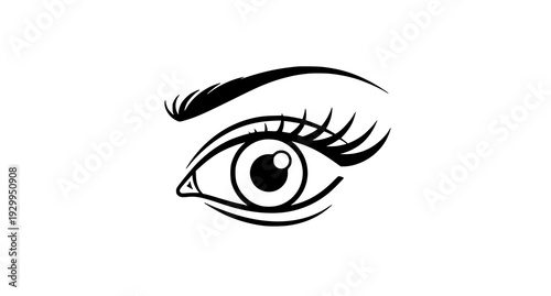 A minimalist vector illustration of a human eye with eyelashes and eyebrow