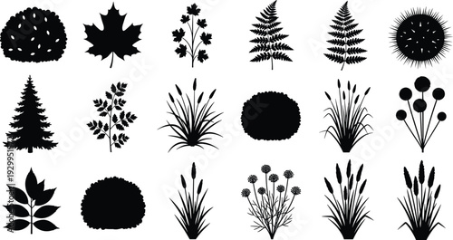 Tree, leaf and grass silhouette vector set featuring botanical shrubs, ferns and foliage elements isolated on white background for landscape design