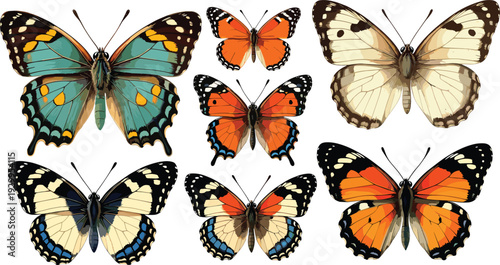 Colorful butterfly collection realistic vector illustration set isolated on white background, detailed wings pattern design for nature study, entomology, decoration, and graphic projects