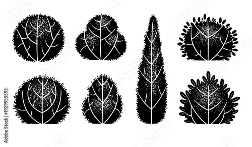Textured Chalkboard Style Shrubs and Bushes Hand Drawn Vector Set